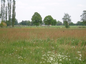 Looiendse bossen 027