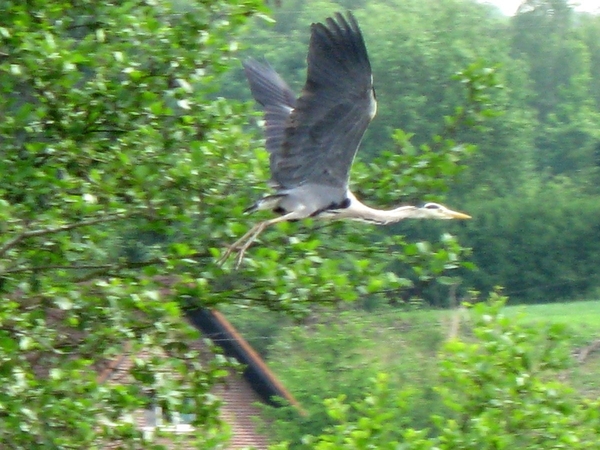 Buntreis Henegouwen 20 05 09 tm 24 05 09 083