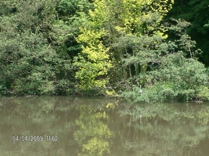 henegouwen 049