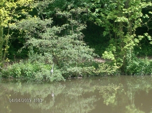 henegouwen 073