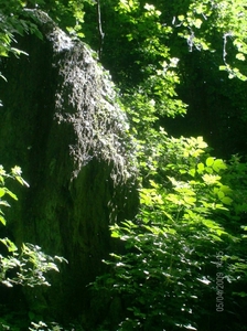 henegouwen 160