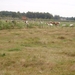 wandeling 008