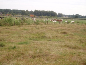 wandeling 008