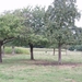 wandeling 017