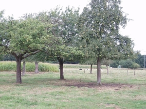 wandeling 017