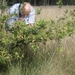 Den Bunt Achel Thorn 12 09 09 045