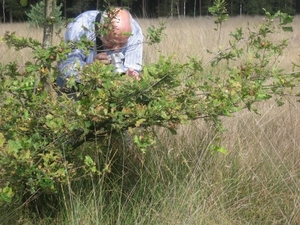 Den Bunt Achel Thorn 12 09 09 045