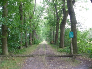P1220014