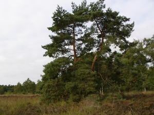 P1220026
