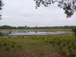 P1220035