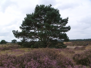P1220077