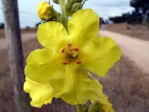 P1220084