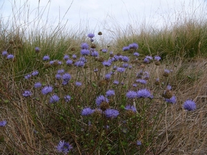 P1220094
