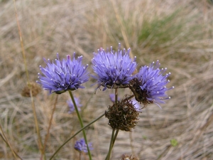 P1220095