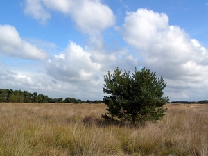 P1220102