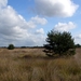P1220103