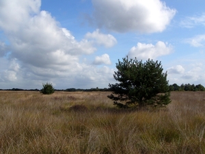 P1220103