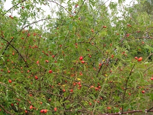 P1220138