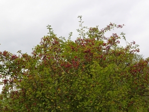 P1220158