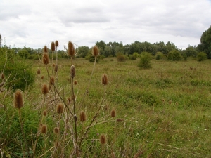 P1220164