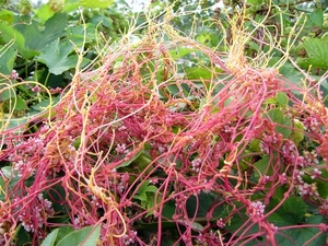 P1220186