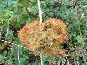 P1220188