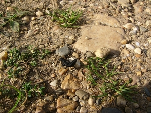 P1220194