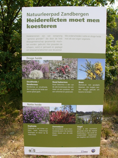 P1220463