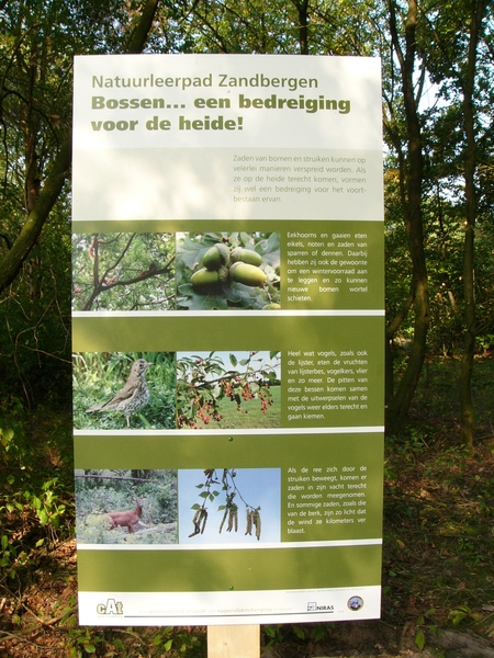 P1220478