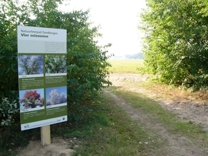 P1220479