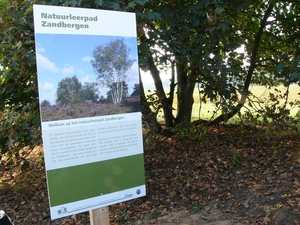 P1220502