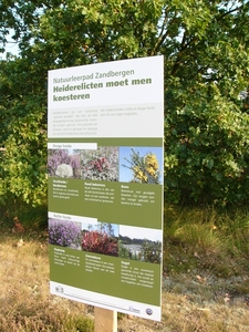 P1220511