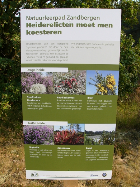 P1220512
