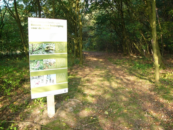 P1220515
