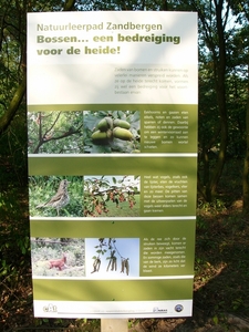 P1220516