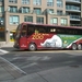 Onze bus met de afbeelding van de ijsbeer.