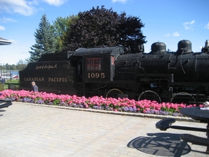 Een tentoongestelde locomotief tussen de bloemen.