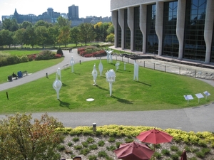 Omgeving rond het museum.