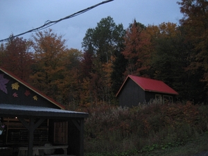 Suiker gewonnen uit de ahorn. Maple syrup