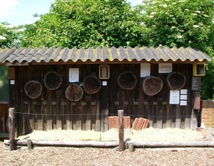 P1040015