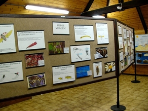 P1040021