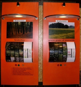 P1040029