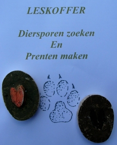 P1040038