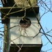 Uilenkast (Kauw) 01