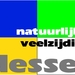 Logo Dessel 05