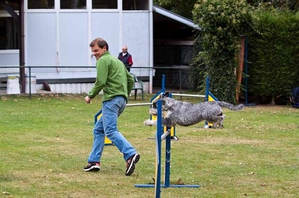 Sneller dan mijn hond ...