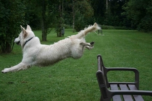 en hop..over de bank