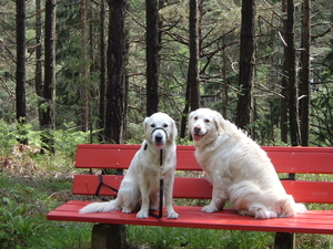 Op verlof in Obsteig Tyrol