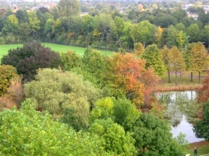 zwolle herfst-05