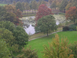 Herfst- uitzicht van uit de flat